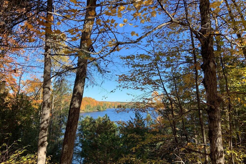 Photo of Others in Chandos Lake