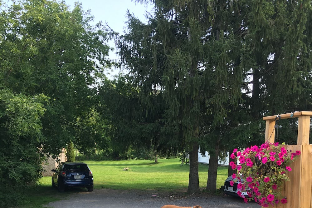 Photo of Outdoor in Centre Hastings