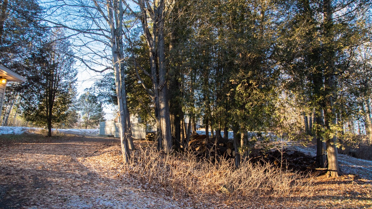 Photo of Outdoor in North Frontenac