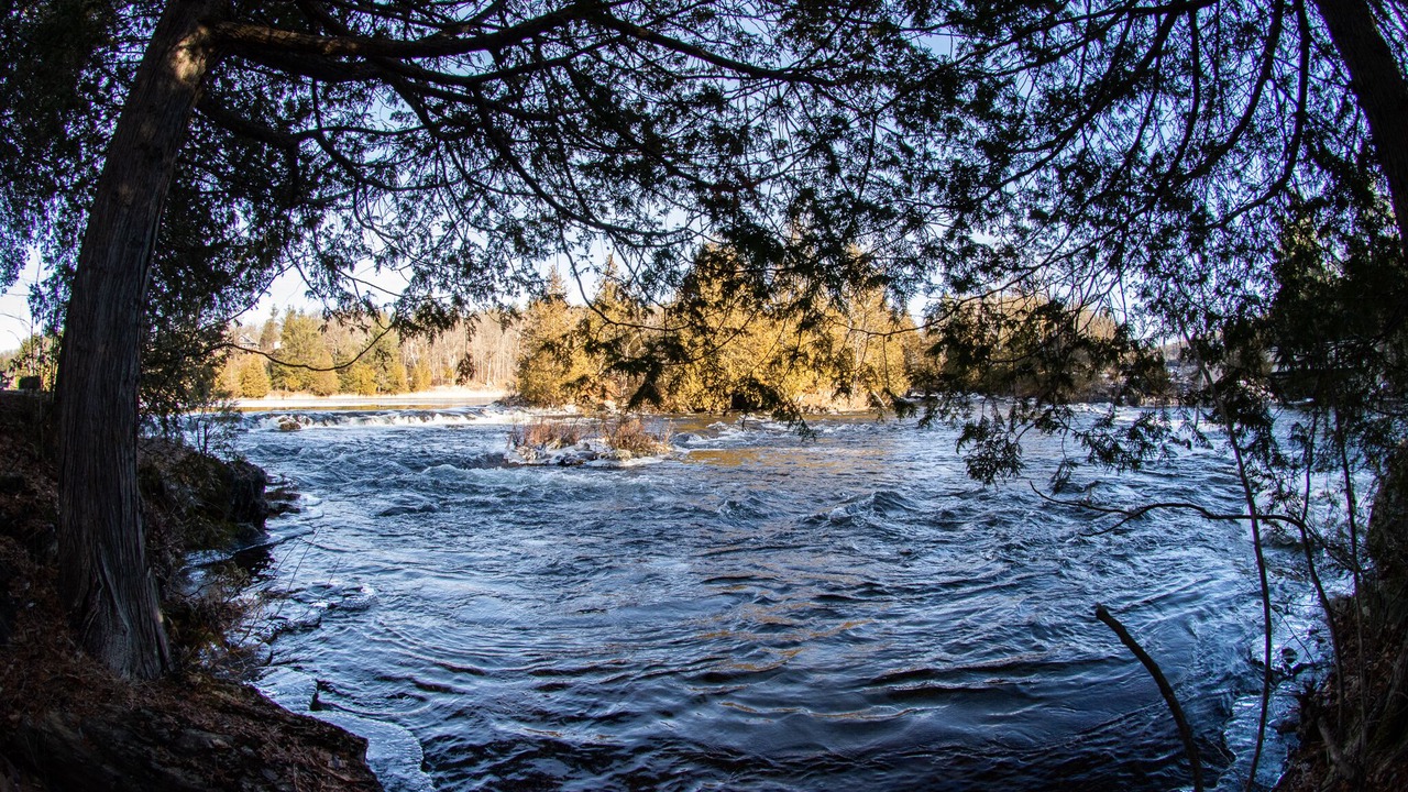 Photo of Others in North Frontenac