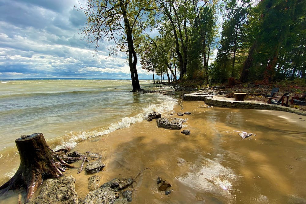 Photo of Others in Fort Erie