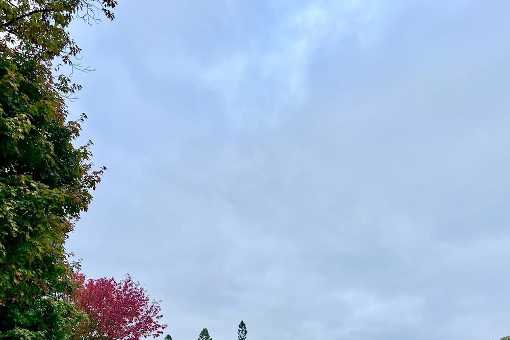 Photo of Others in North Bay