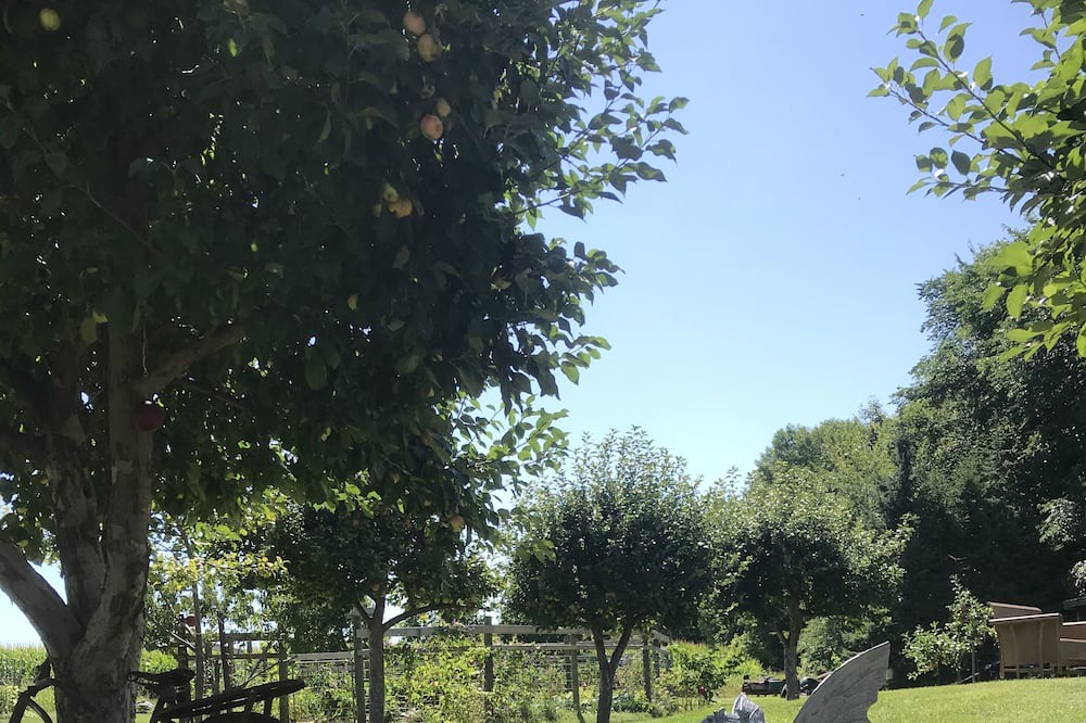 Photo of Outdoor in Victor