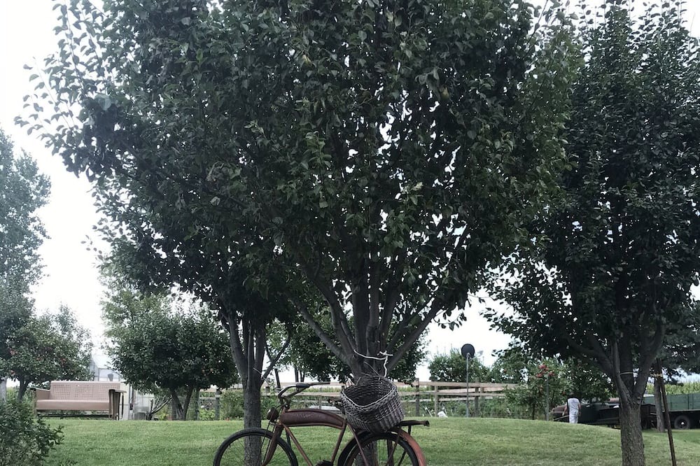 Photo of Outdoor in Victor