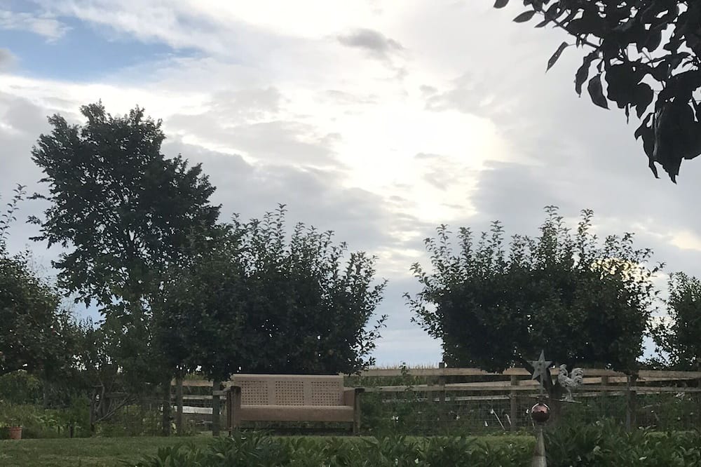 Photo of Outdoor in Victor