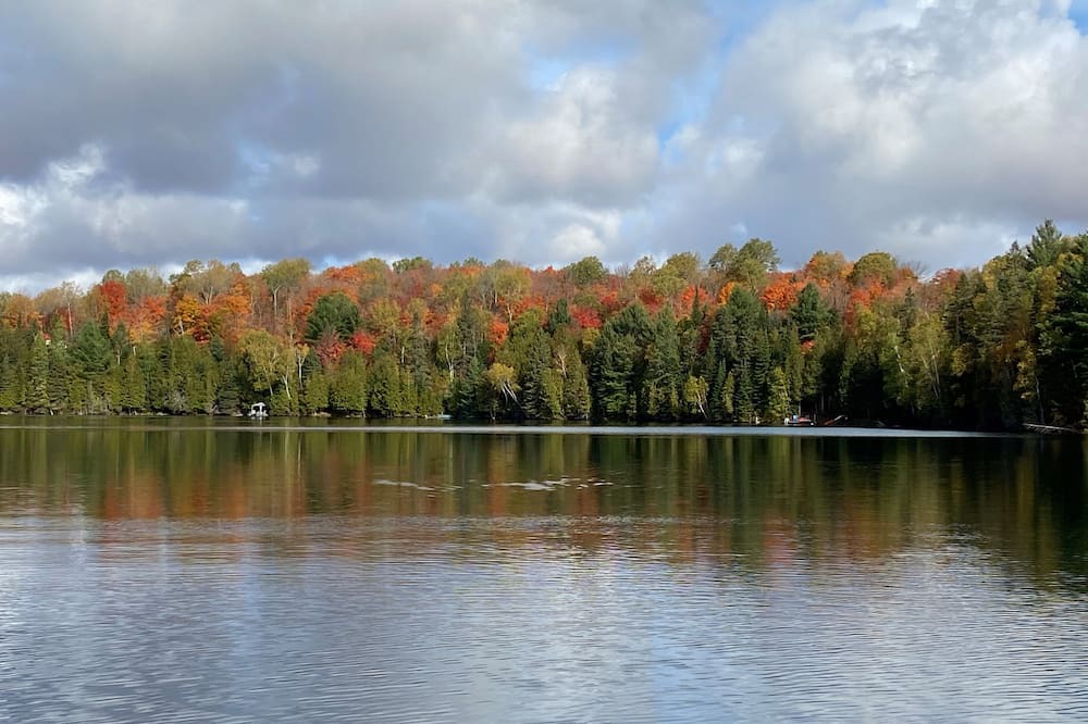 Photo of Outdoor in Wollaston
