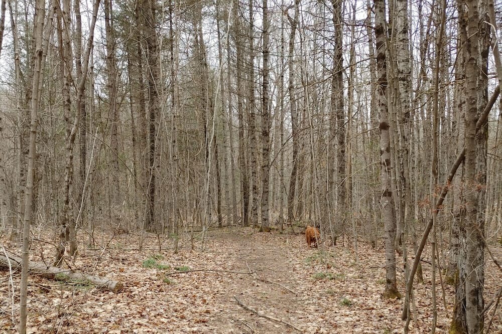 Photo of Others in North Frontenac