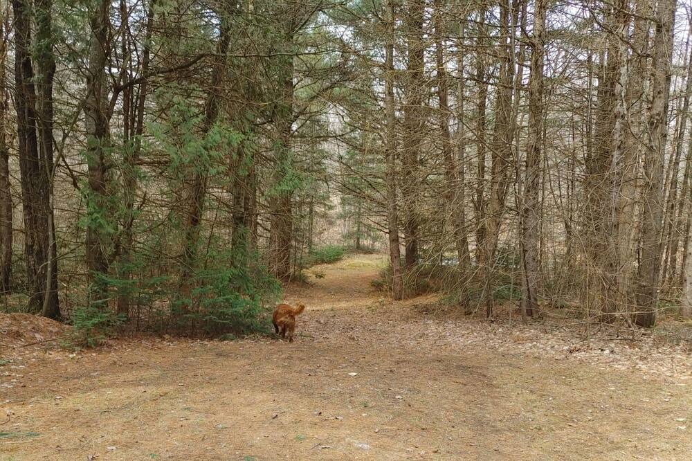 Photo of Outdoor in North Frontenac