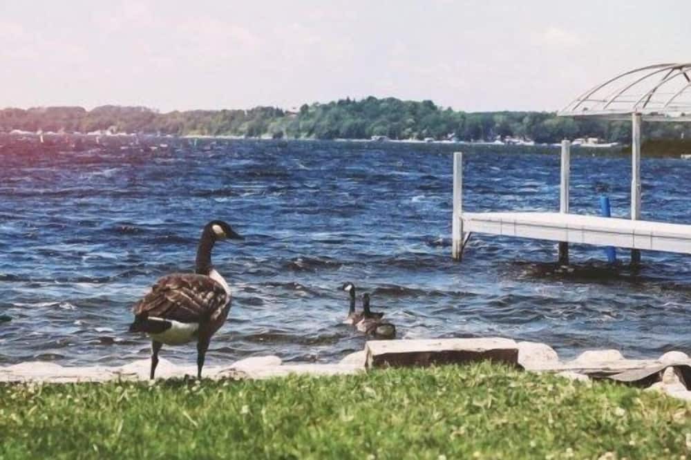 Photo of Others in Detroit Lakes