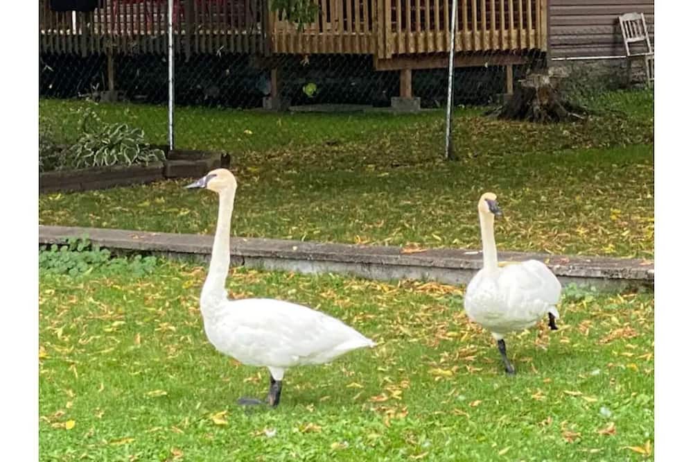 Photo of Outdoor in Kirkfield