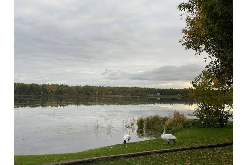 Photo of Outdoor in Kirkfield