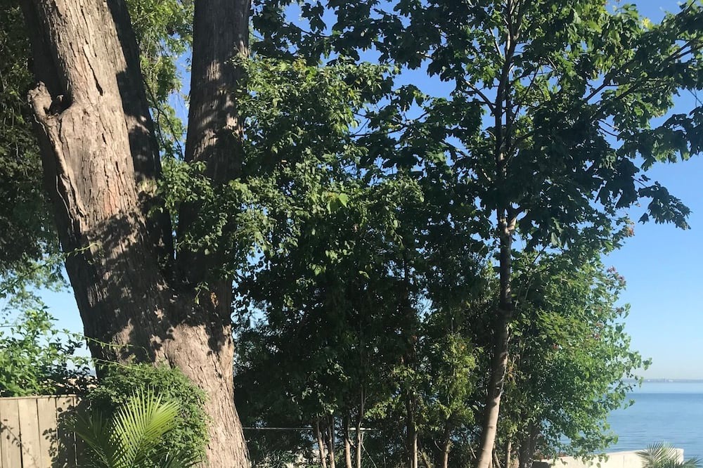 Photo of Outdoor in Winona