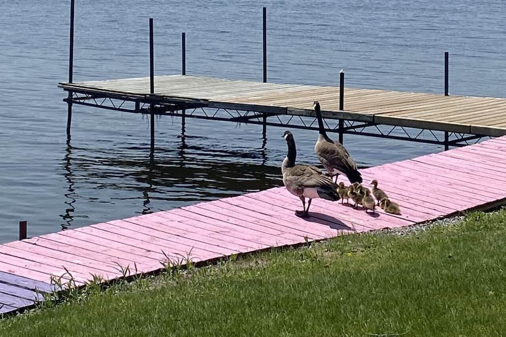 Photo of Outdoor in Roseneath