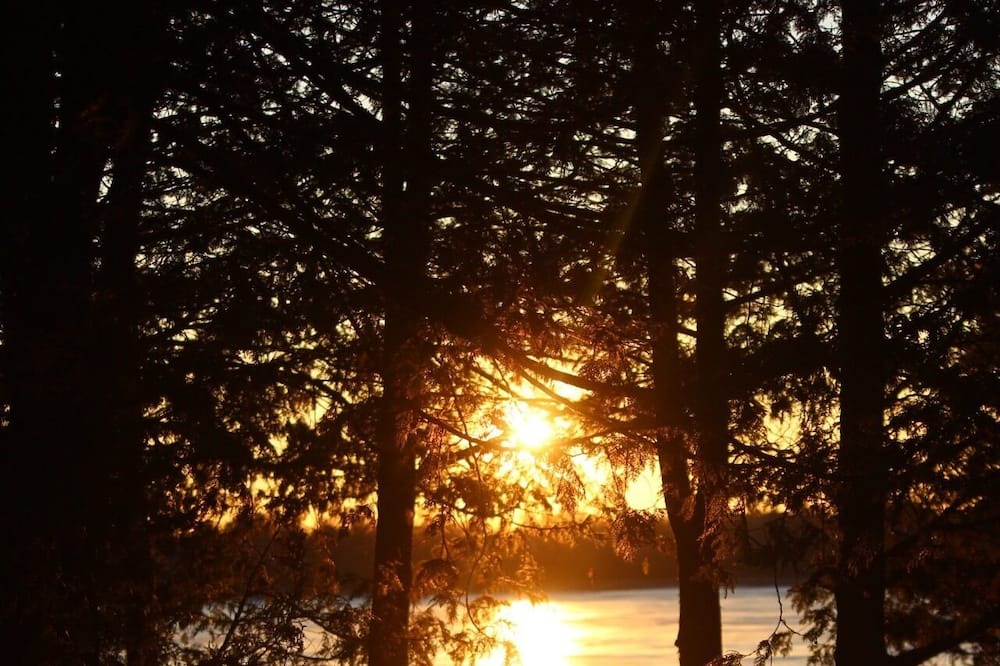 Photo of Outdoor in Selwyn