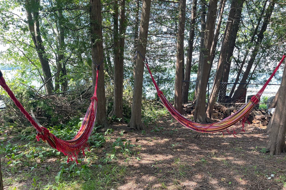 Photo of Outdoor in Selwyn