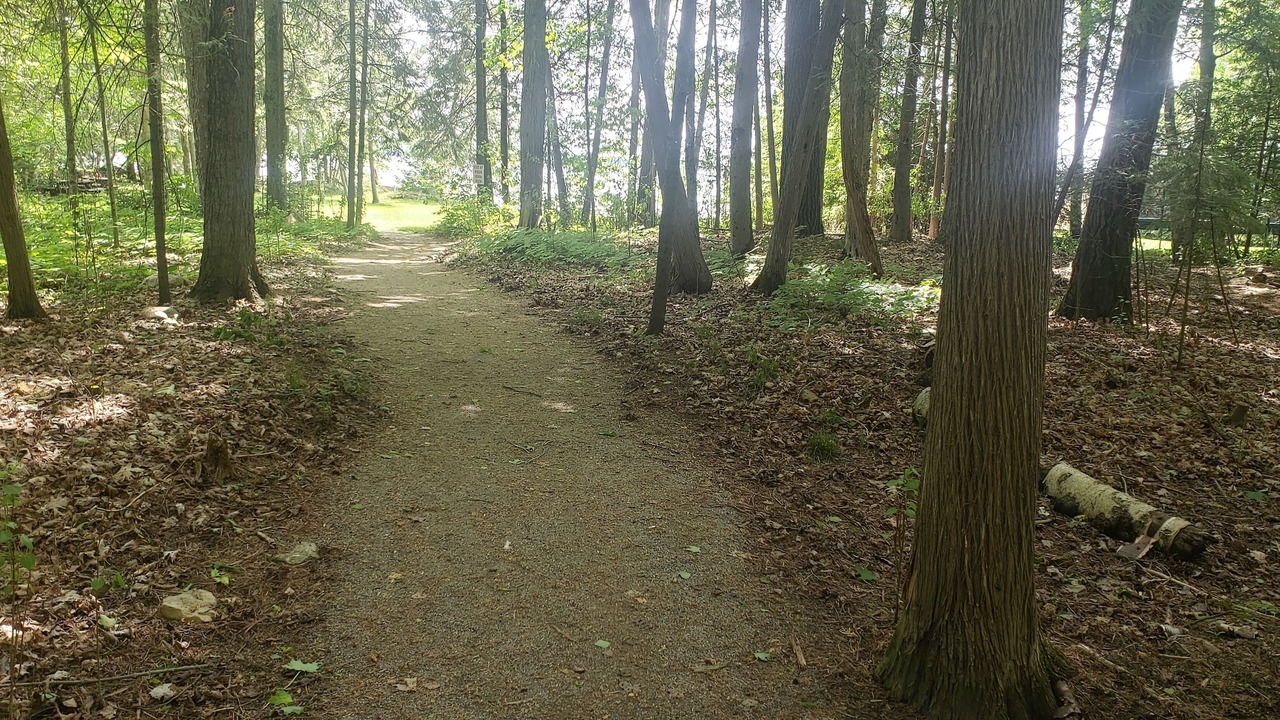 Photo of Outdoor in Victoria Road