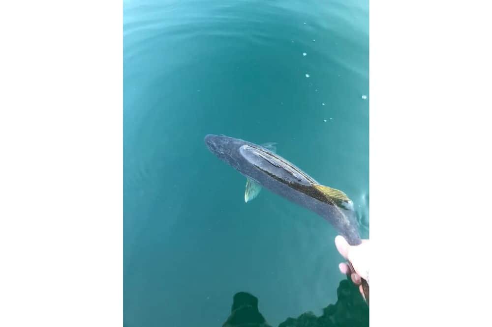 Photo of Others in Edna