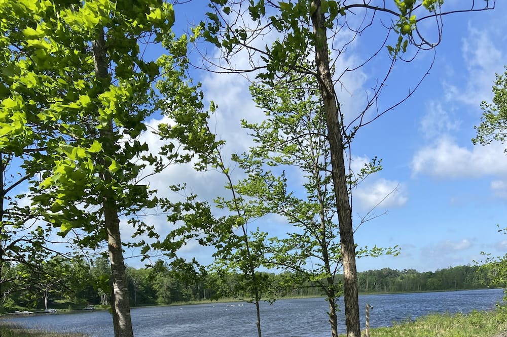 Photo of Outdoor in Aitkin