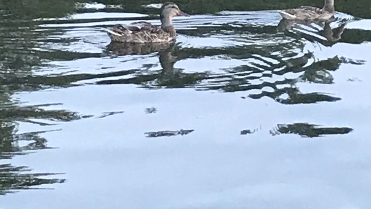 Photo of Outdoor in Kirkfield