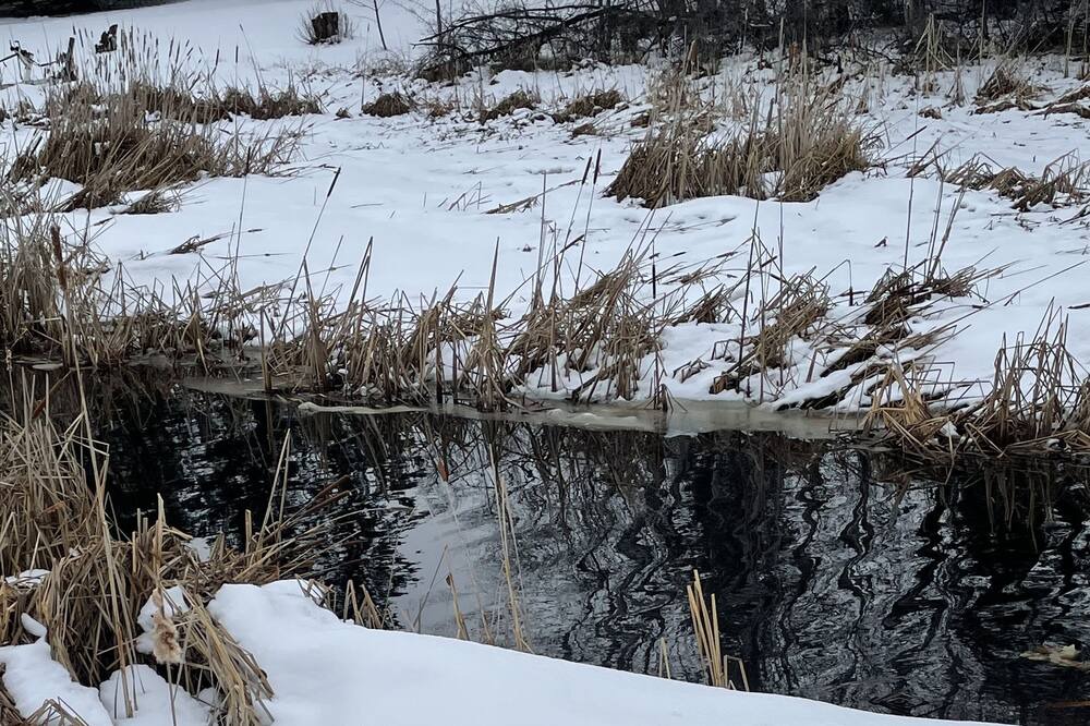 Photo of Others in International Falls