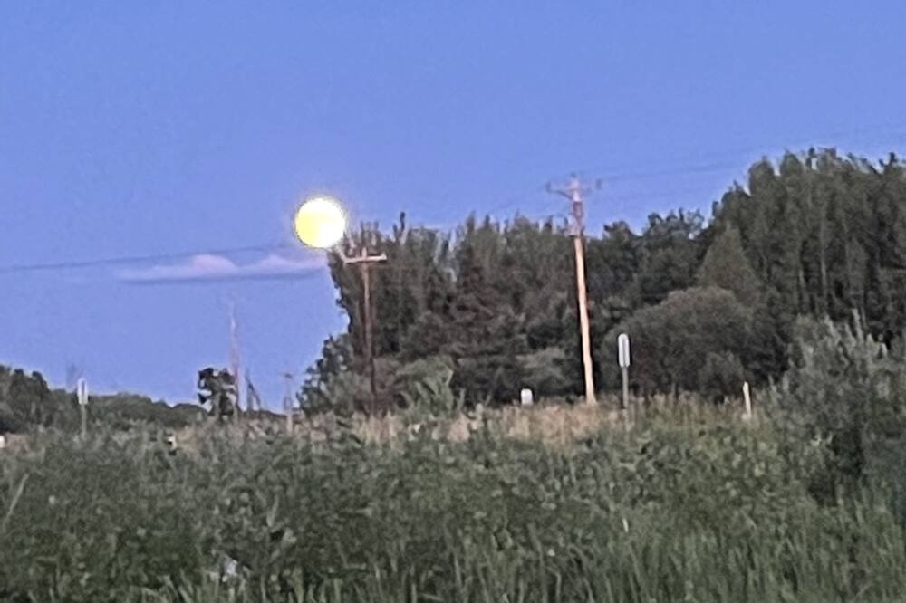 Photo of Others in International Falls
