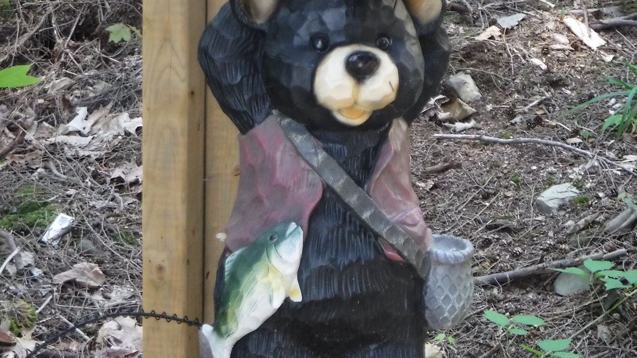 Photo of Outdoor in Algoma District