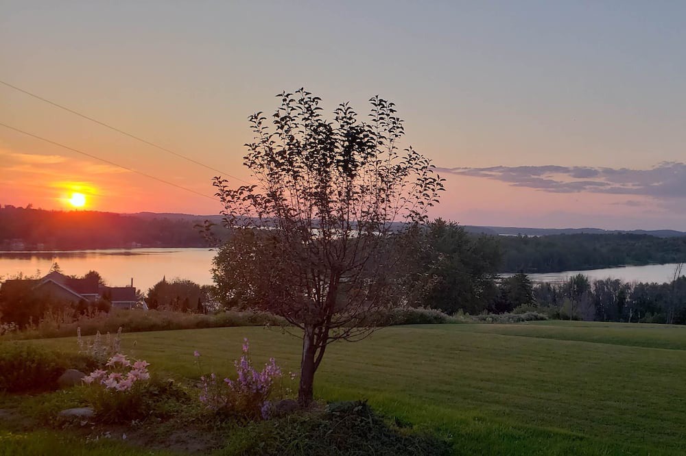 Photo of Outdoor in Roseneath