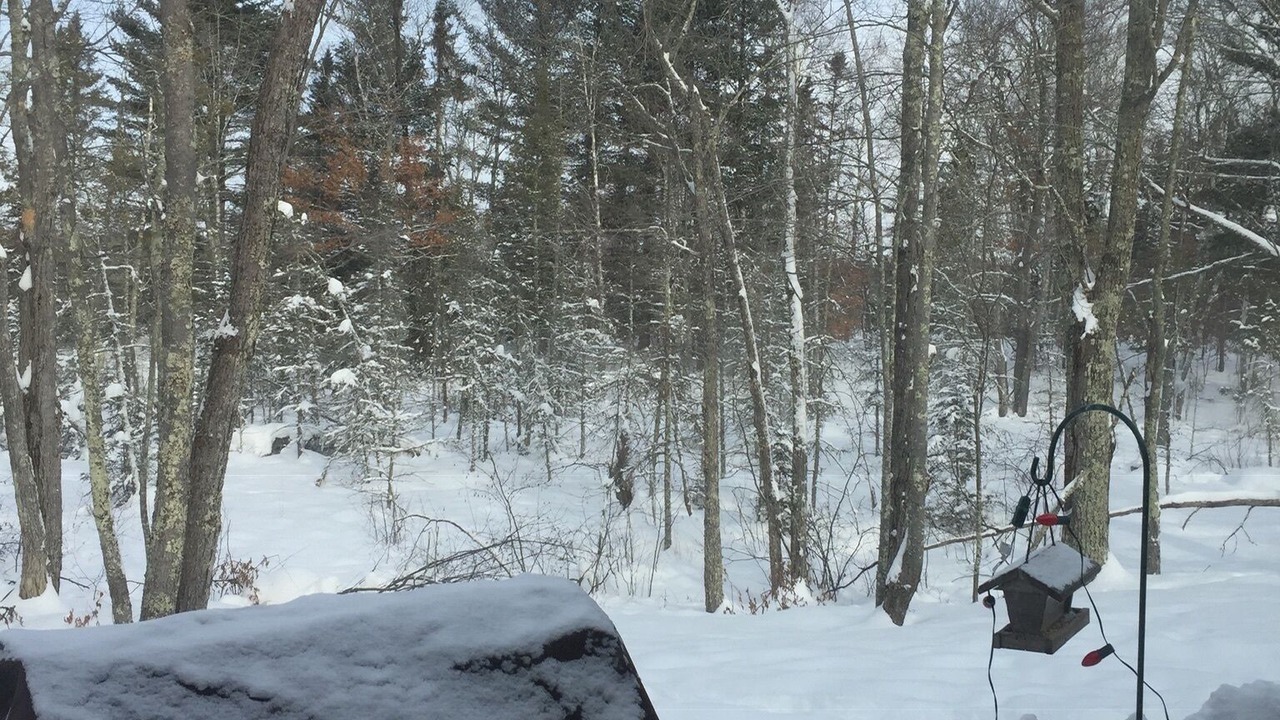 Photo of Others in Crosslake