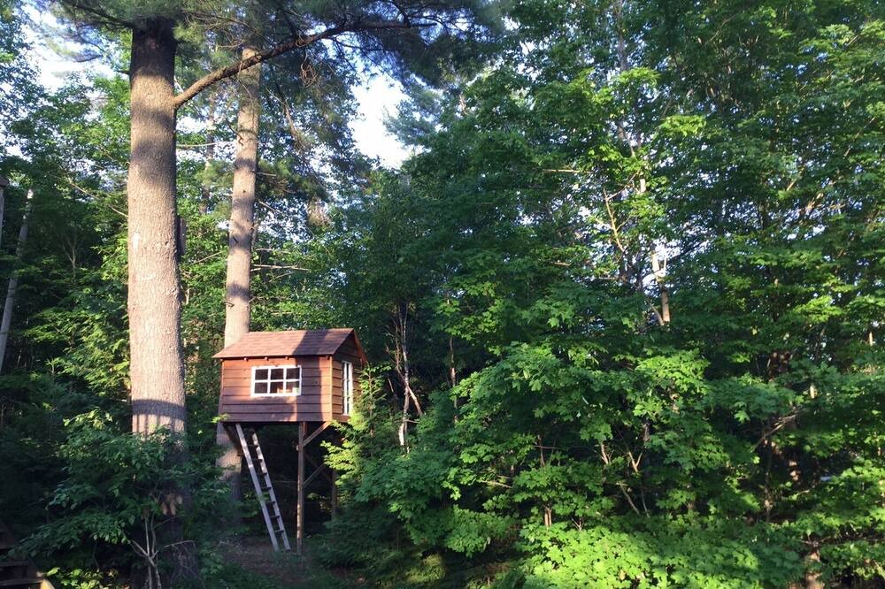 Photo of Outdoor in Trent Lakes