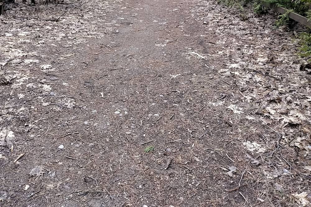 Photo of Outdoor in Tiny