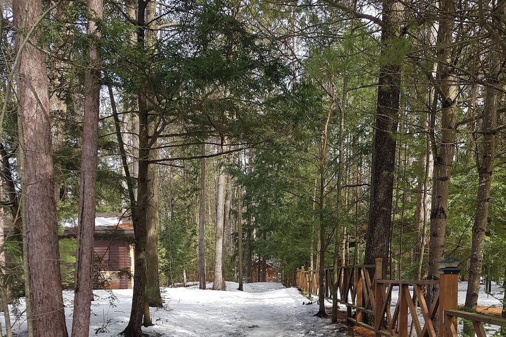 Photo of Outdoor in Tiny