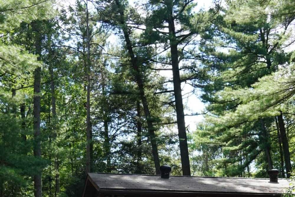 Photo of Outdoor in Tiny