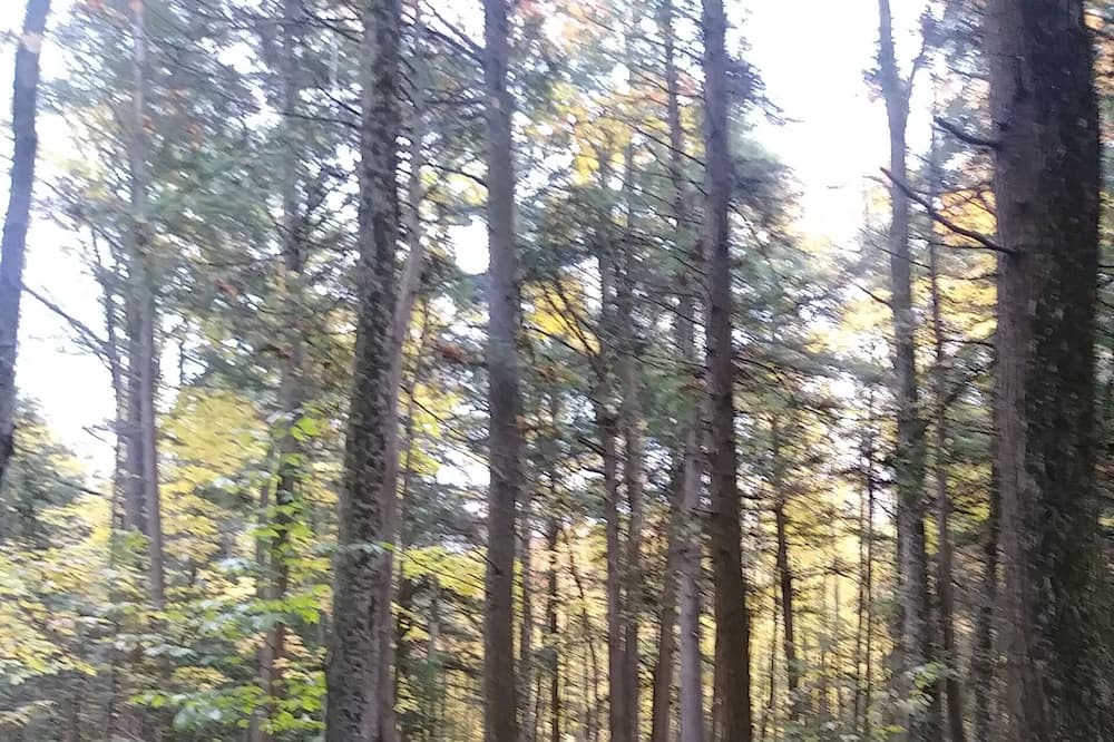 Photo of Outdoor in Tiny