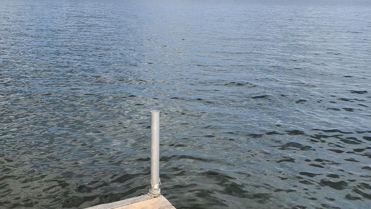 Photo of Others in Fenelon Falls