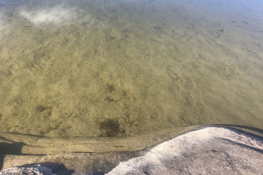 Photo of Others in Port Stanton