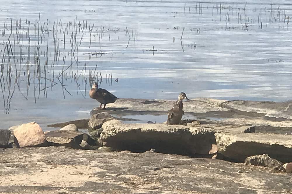 Photo of Others in Port Stanton