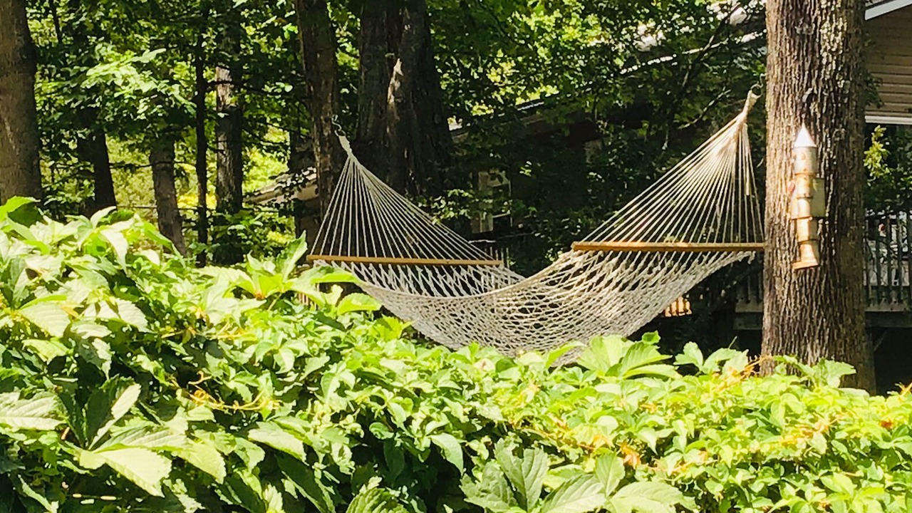 Photo of Outdoor in Havelock-Belmont-Methuen