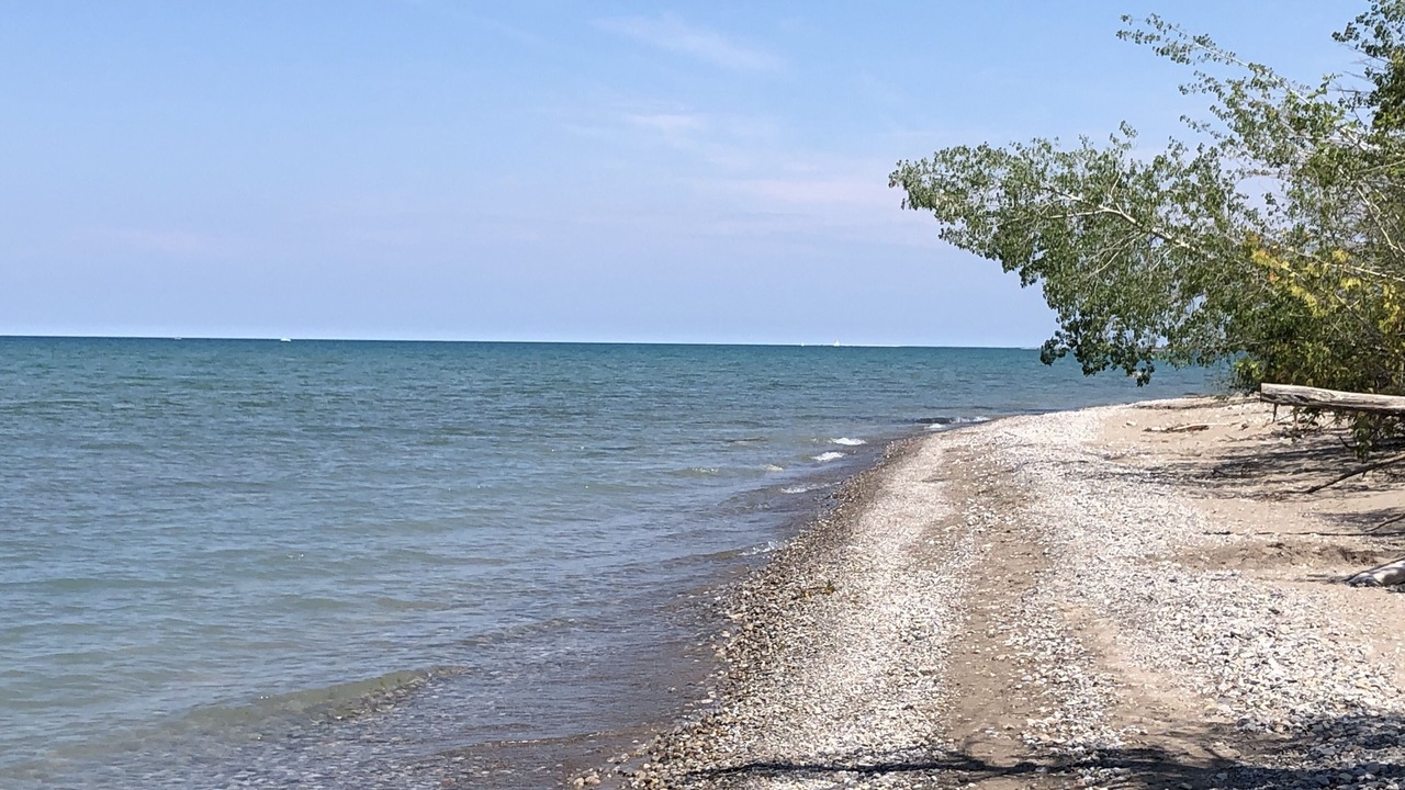 Photo of Others in Central Huron
