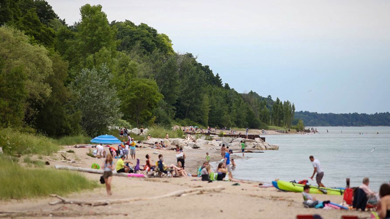Photo of Others in Bayfield