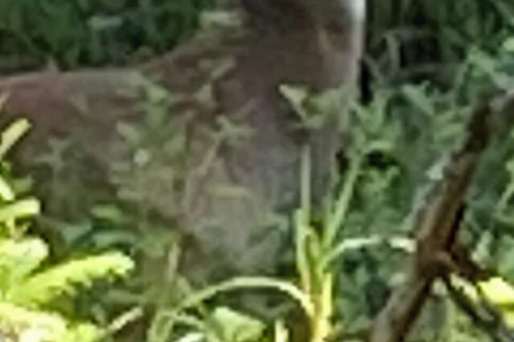 Photo of Outdoor in Woodview