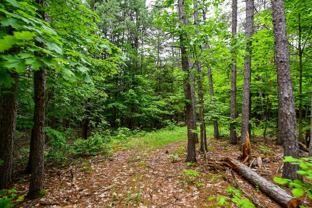 Photo of Outdoor in Woodview