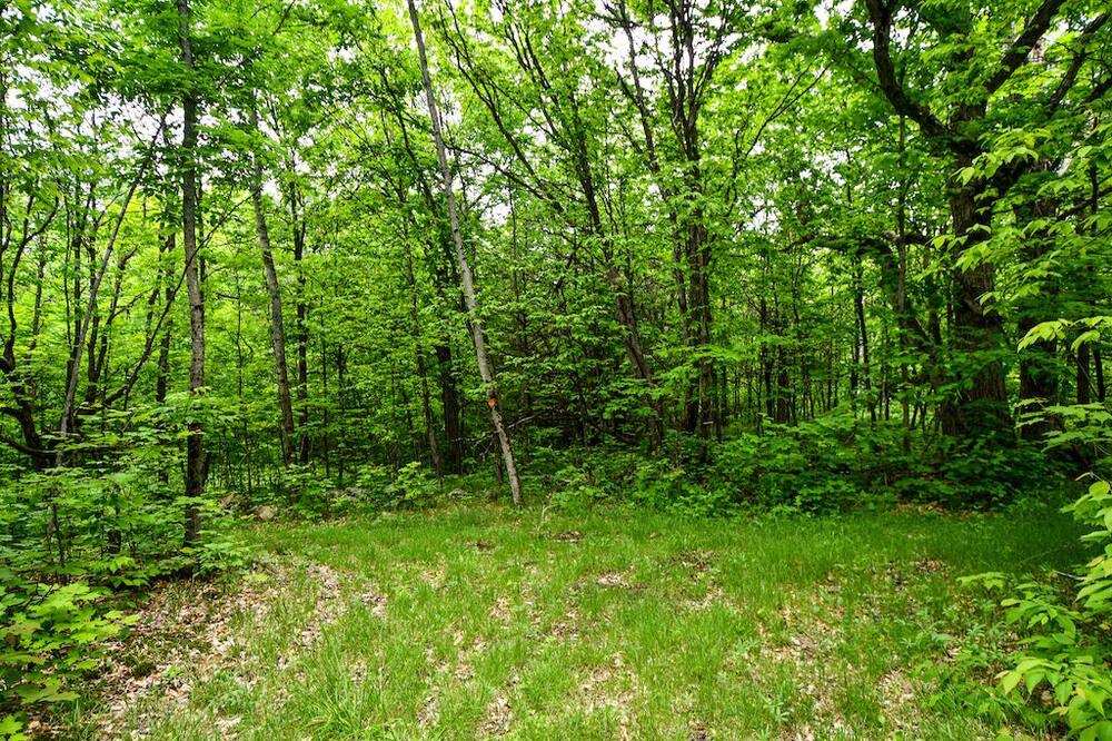 Photo of Outdoor in Woodview
