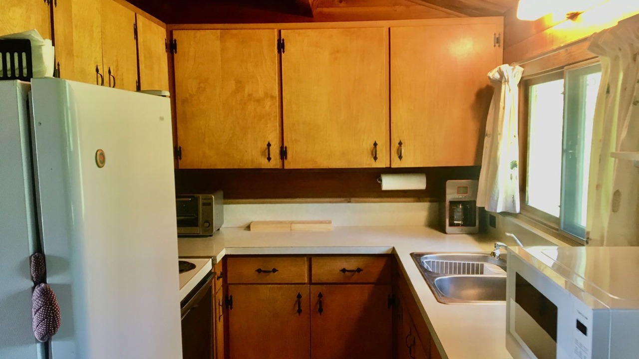 Photo of Kitchen in Roseneath