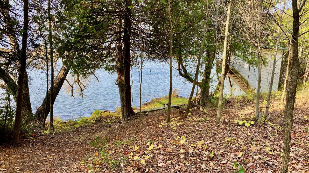 Photo of Outdoor in Roseneath