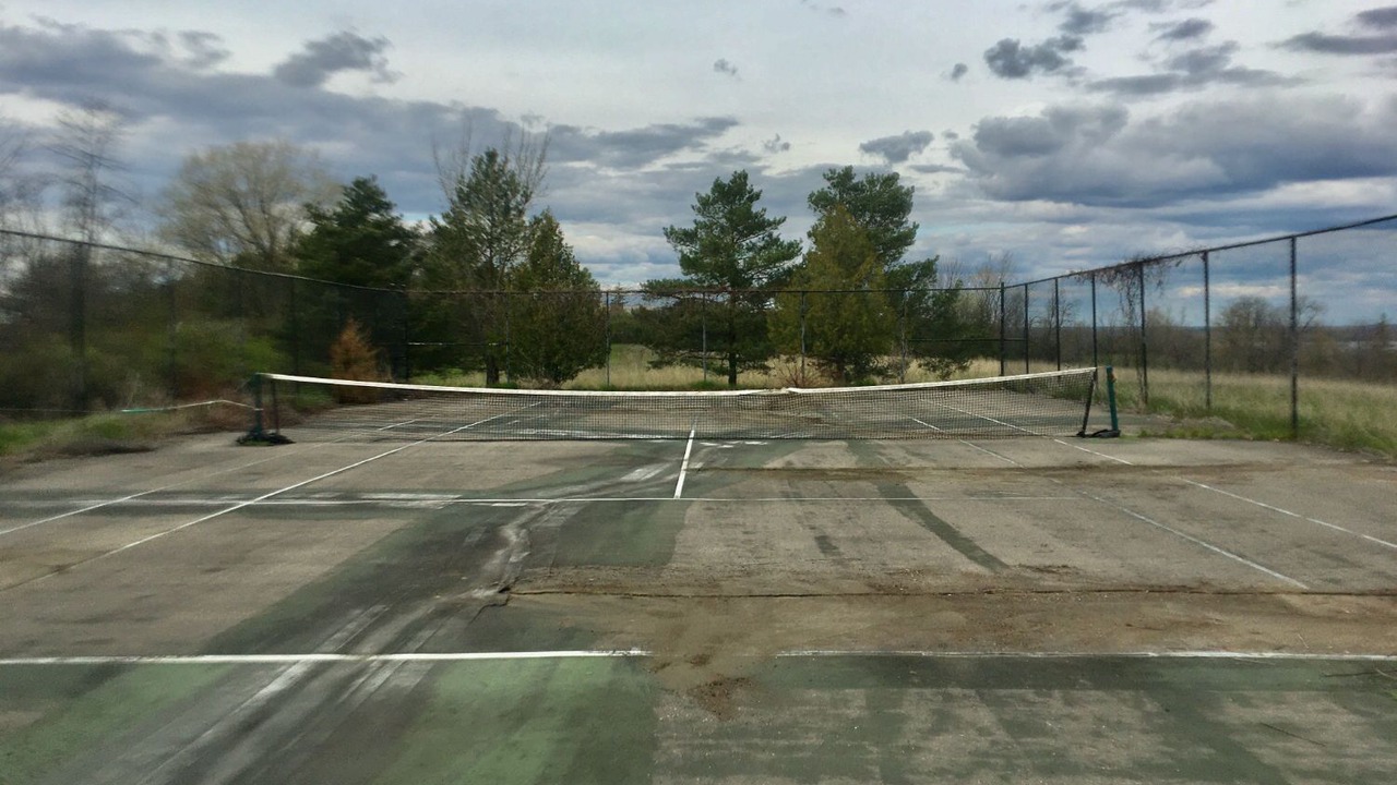 Photo of Others in Roseneath
