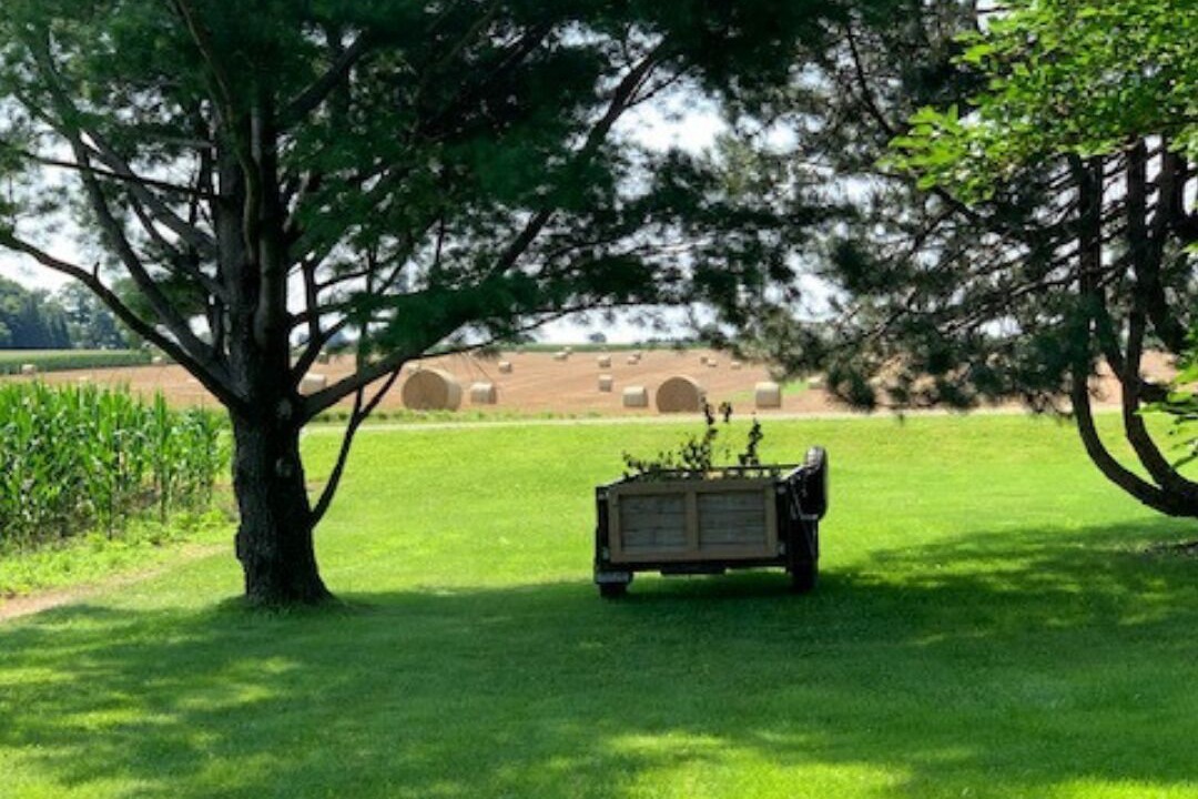 Photo of Outdoor in Norwich