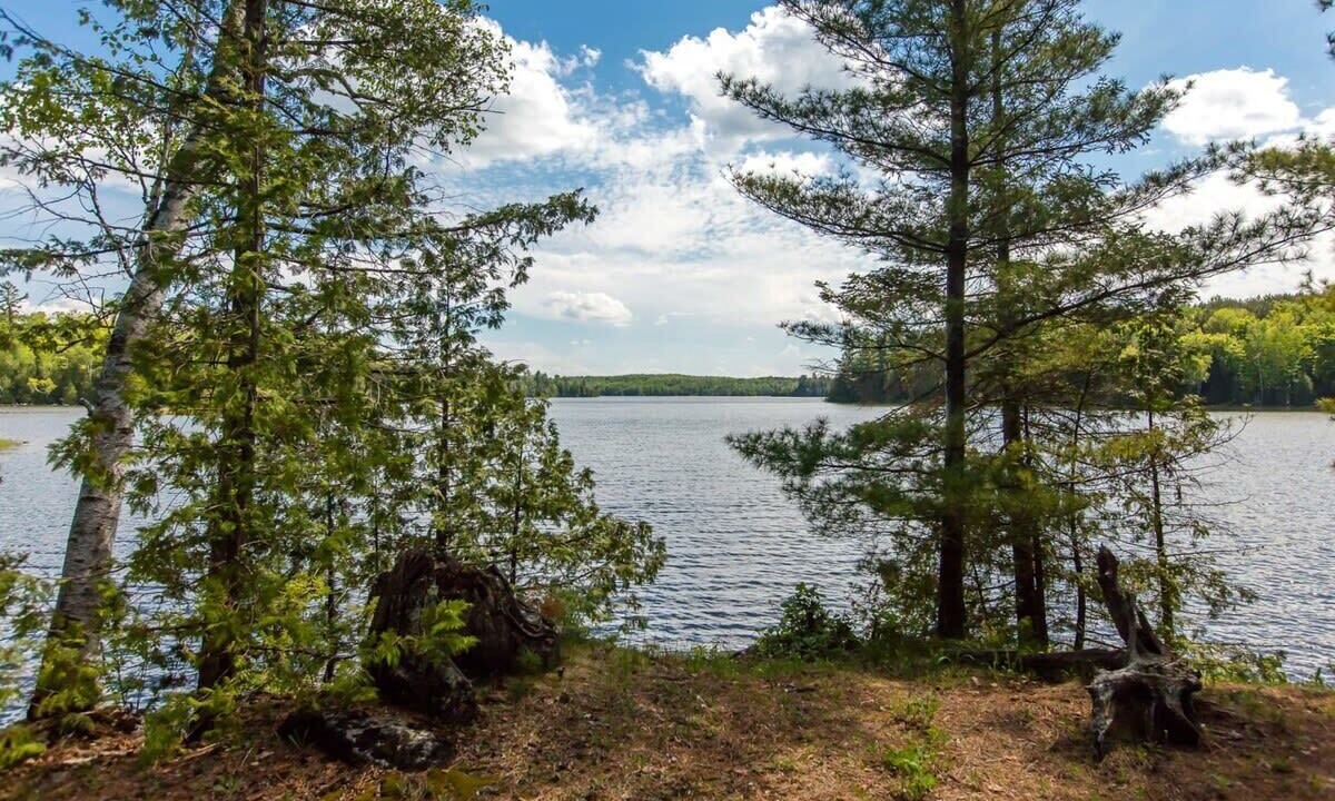 Photo of Outdoor in Trent Lakes