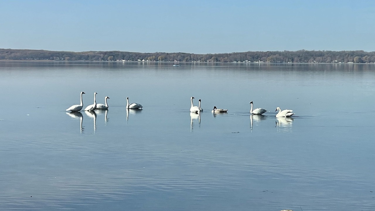 Photo of Outdoor in Detroit Lakes