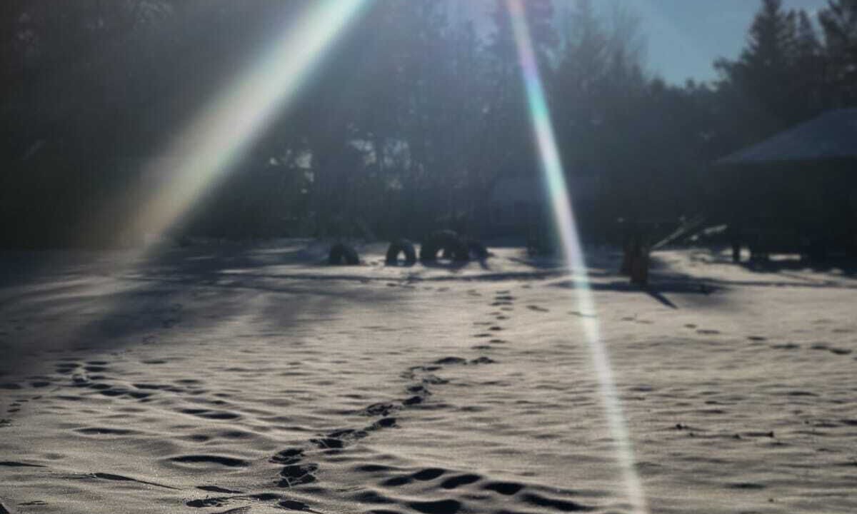 Photo of Others in Carden