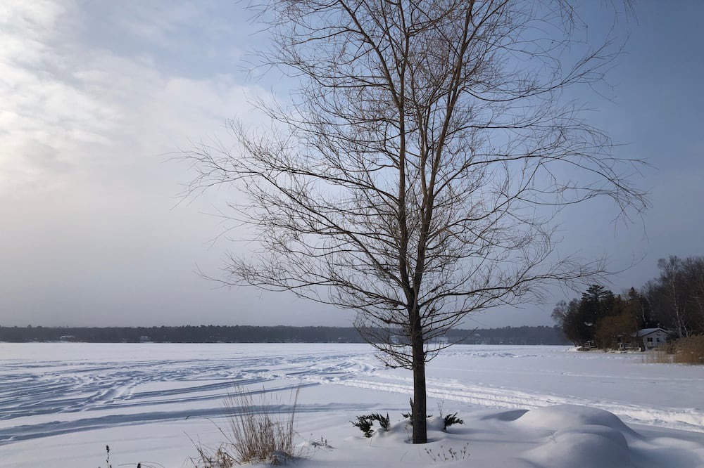Photo of Others in Trent Lakes